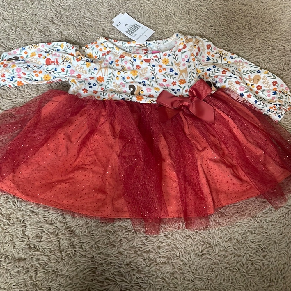 6 month girl Fall thanksgiving dress.
